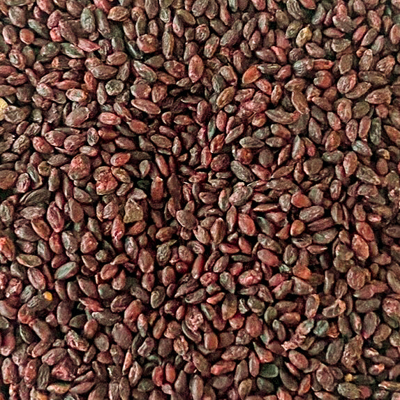 Kerne der Johannisbeere